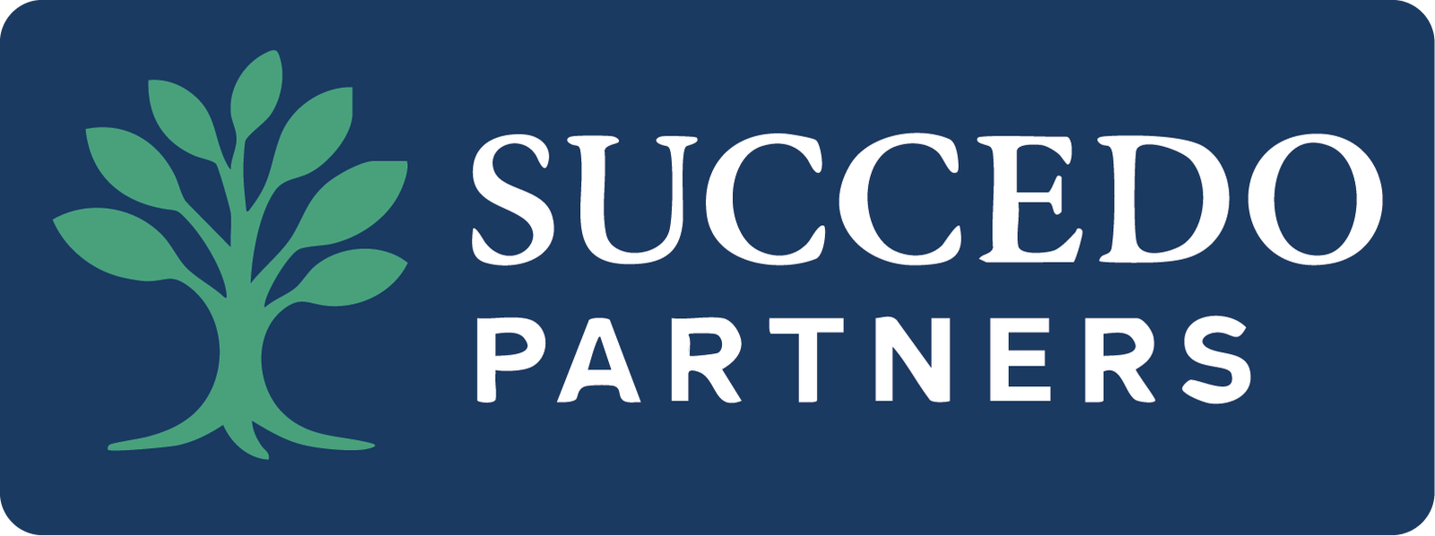 Succedo-Partners